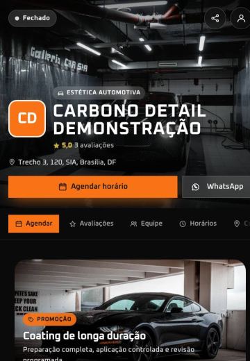 Modelo Estética Automotiva Carbono