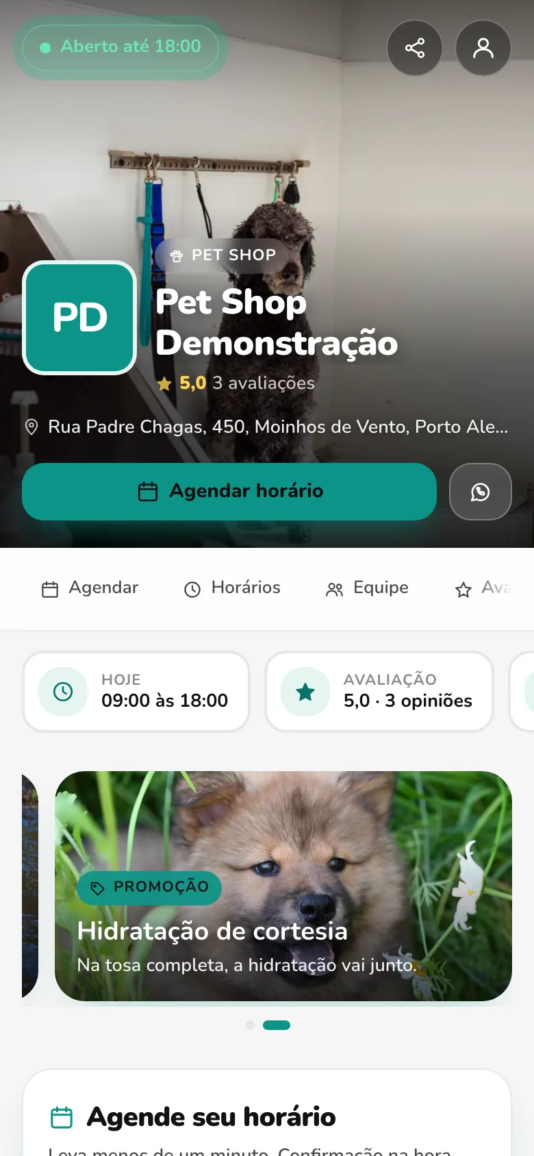 Página de agendamento: Animais